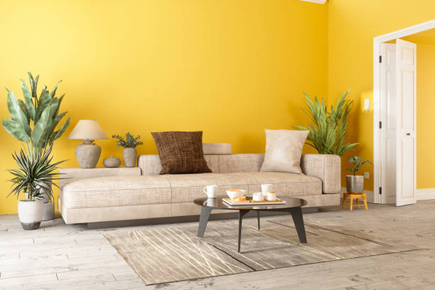 Home Decor and Interior